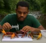 Freshwater River Crabs
