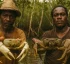 Hunting Crabs