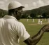 Jerome Gregory Mellow (Cricketer)