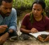 Mangrove Crabs of Dominica