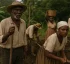 Post-Slavery Apprenticeship System in Dominica