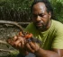 Semi-Terrestrial Crabs in Dominica