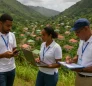 Housing Census in Dominica