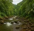 Springfield River
