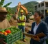 Economic Diversification in Dominica