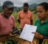 Phytosanitary Certificate in Dominica