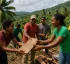 Volunteerism in Dominica
