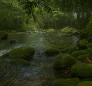 River Deux Branches