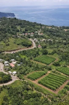 Explore the 8 Hamlets of Kalinago Territory