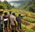 Agricultural Land Lease Facility