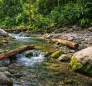 River Claire, Joins with White River