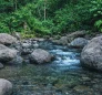 River Claire, Joins with Roseau River