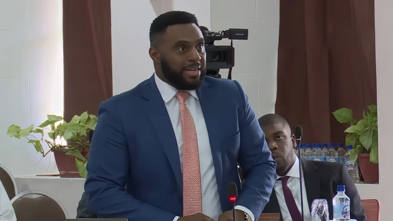 Hon. Cassani Laville