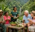 Herbal Teas in Dominica