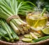 Lemongrass