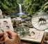Mosquitoes of Dominica