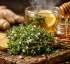 Thyme (Thymus vulgaris)