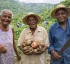 Centenarians in Dominica