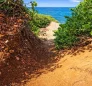 Centipede Trail