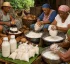 Coconut Milk in Dominica