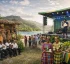 Creative Exports in Dominica