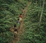 Kalinago Canoe Trail