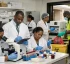 Medical Laboratories Council of Dominica