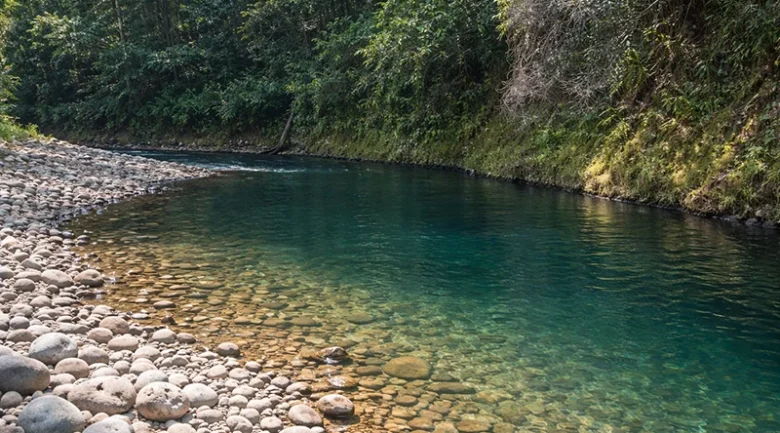 Blenheim River