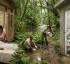 Infectious Diseases in Dominica