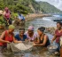 Layou Women’s Fishing and Farming Group