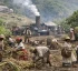 Plantation Economy in Dominica