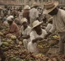 Saturday Market in Dominica