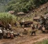 Sugar Plantations in Dominica