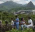 Tetanus in Dominica