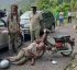 Traffic Accidents in Dominica