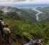 Forest Reserves in Dominica