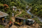 Gig Economy in Dominica