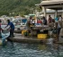 Mahaut Fisheries Facility
