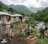 One Health Approach in Dominica