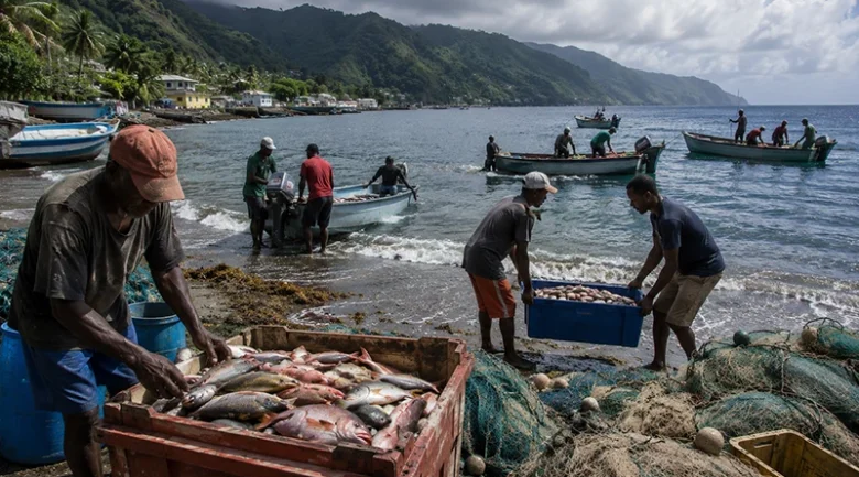Overfishing in Dominica