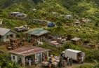 Livestock in Dominica
