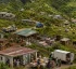 Livestock in Dominica