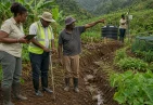 Enhancing Sustainability and Resilience of the Agriculture Sector in the Commonwealth of Dominica Project