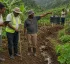 Enhancing Sustainability and Resilience of the Agriculture Sector in the Commonwealth of Dominica Project