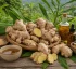 Ginger in Dominica